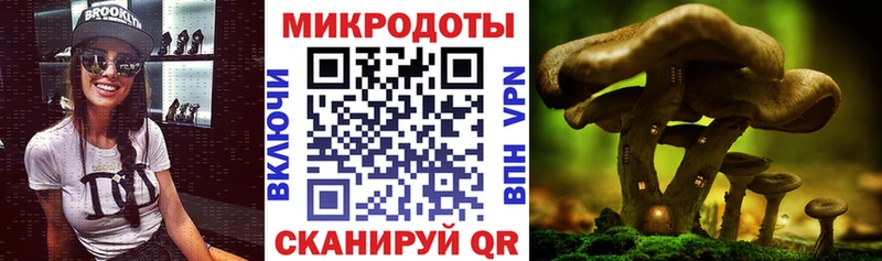 даркнет сайт  мега как зайти  Псилоцибиновые грибы Cubensis  Петровск 